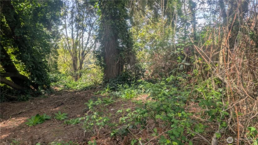 Property photo for 5263 21st Avenue Sw, Seattle photo 14