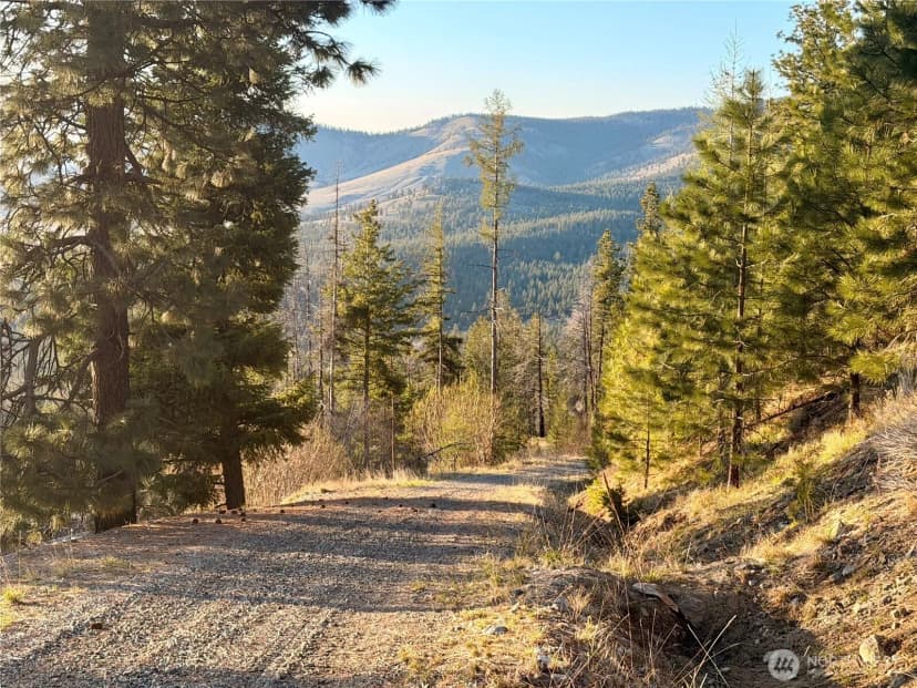 Property photo for 321 Twin Creeks Ranch, Riverside photo 22