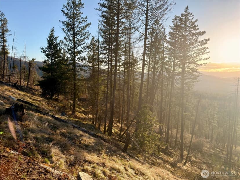 Property photo for 321 Twin Creeks Ranch, Riverside photo 8