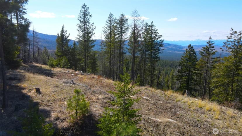 Property photo for 321 Twin Creeks Ranch, Riverside photo 7