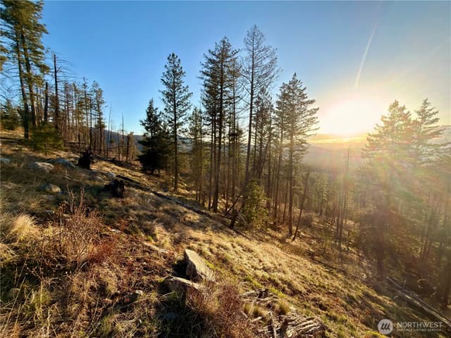 Property photo for 321 Twin Creeks Ranch, Riverside photo 3