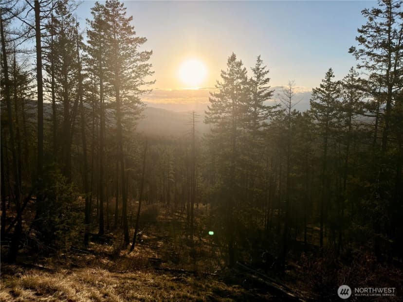 Property photo for 321 Twin Creeks Ranch, Riverside photo 24