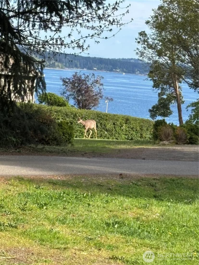 Property photo for 14310 90th Street Ct Nw, Gig Harbor photo 18