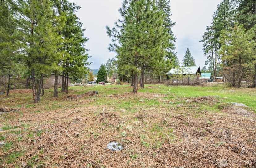 Property photo for 0 Alpensee Strasse, Leavenworth photo 12