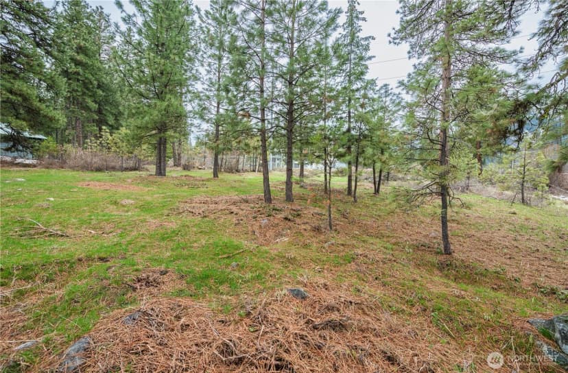 Property photo for 0 Alpensee Strasse, Leavenworth photo 8