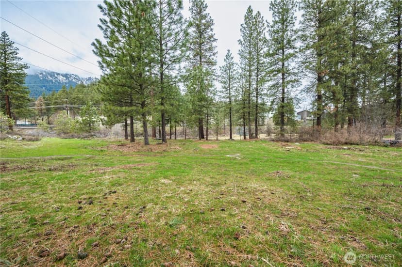 Property photo for 0 Alpensee Strasse, Leavenworth photo 18