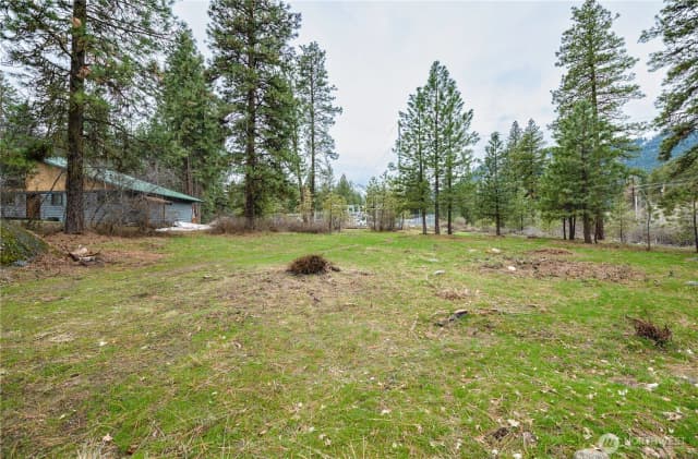 Property photo for 0 Alpensee Strasse, Leavenworth photo 5