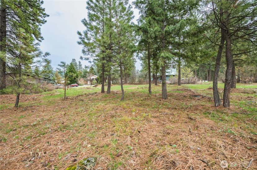 Property photo for 0 Alpensee Strasse, Leavenworth photo 11