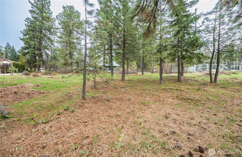 Property photo for 0 Alpensee Strasse, Leavenworth photo 10
