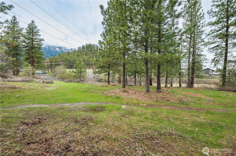 Property photo for 0 Alpensee Strasse, Leavenworth photo 16