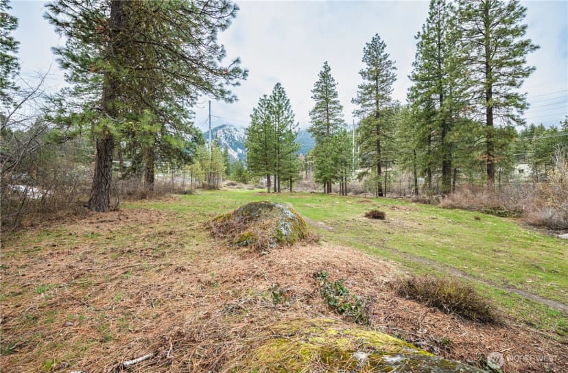 Property photo for 0 Alpensee Strasse, Leavenworth photo 19