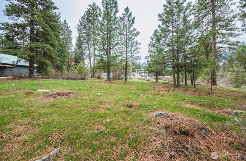 Property photo for 0 Alpensee Strasse, Leavenworth photo 7