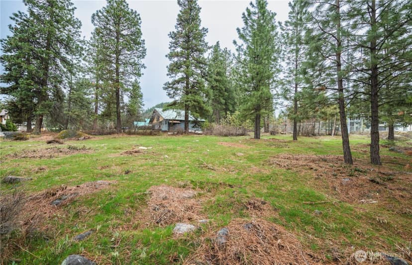 Property photo for 0 Alpensee Strasse, Leavenworth photo 9