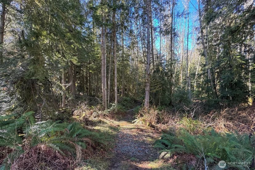 Property photo for 242 Watershed Road, Port Angeles photo 34