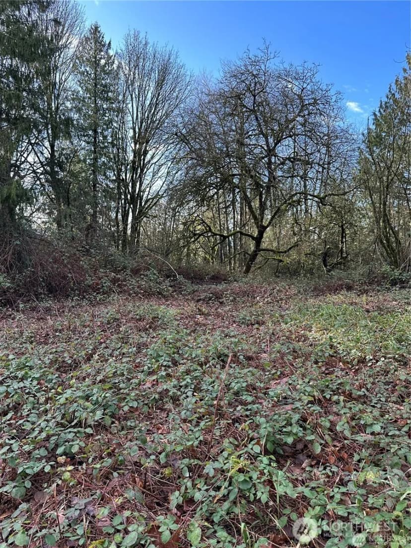Property photo for 0 121st Avenue Se, Snohomish photo 5