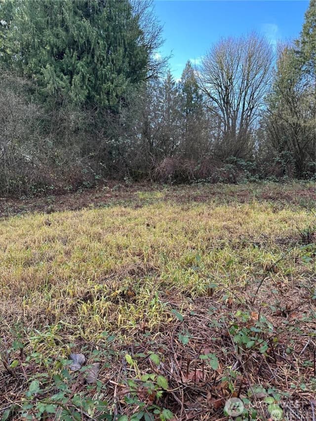 Property photo for 0 121st Avenue Se, Snohomish photo 3