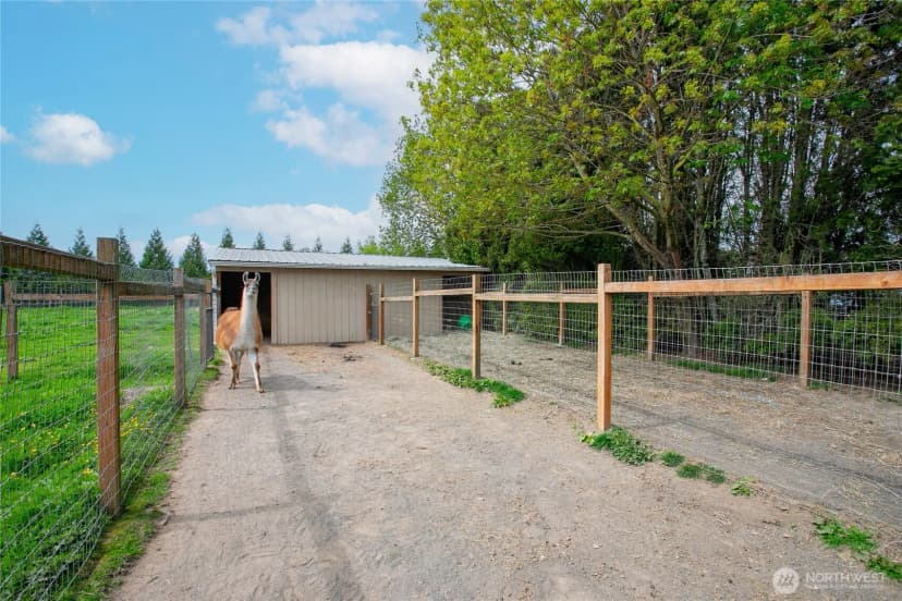 Property photo for 3257 E Badger Road, Everson photo 28