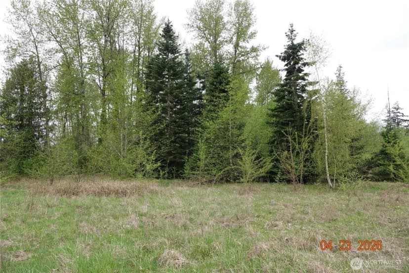 Property photo for 11703 34th Avenue E, Tacoma photo 15