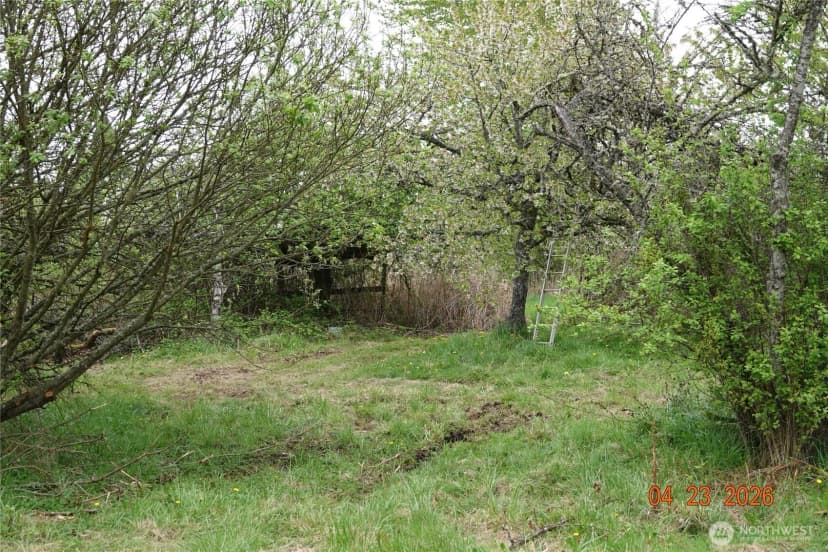 Property photo for 11703 34th Avenue E, Tacoma photo 4