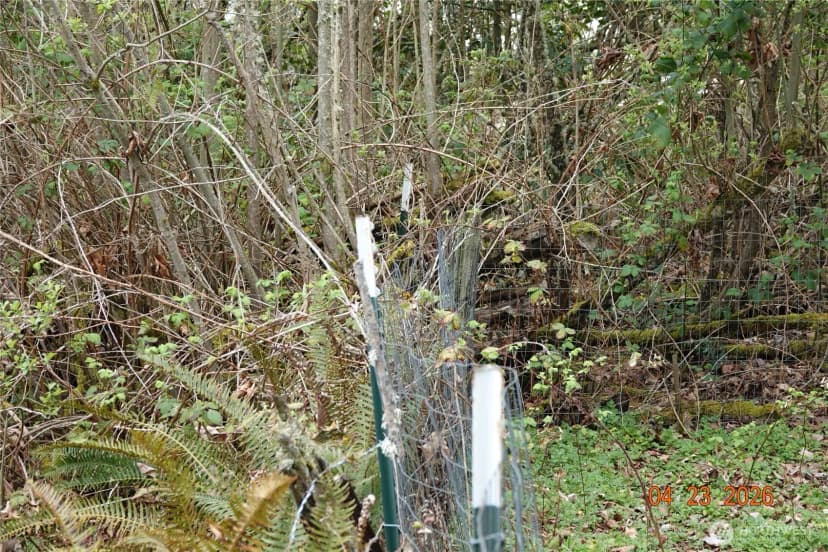 Property photo for 11703 34th Avenue E, Tacoma photo 20