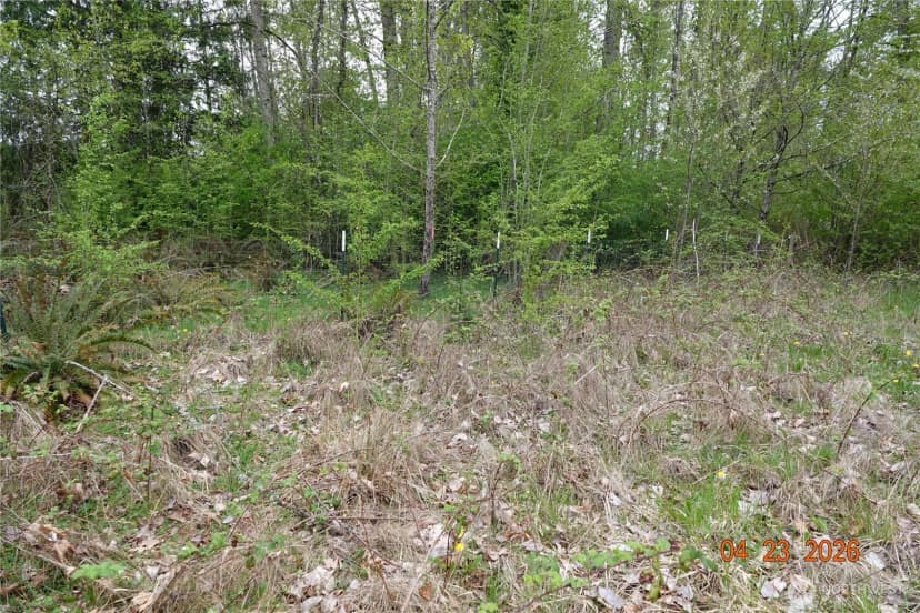 Property photo for 11703 34th Avenue E, Tacoma photo 16