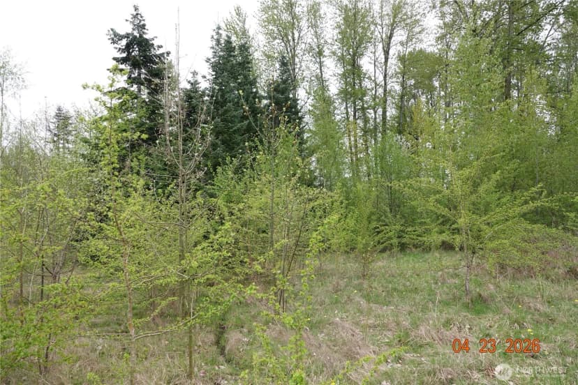 Property photo for 11703 34th Avenue E, Tacoma photo 13