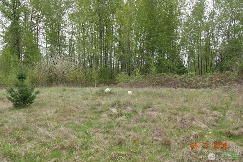 Property photo for 11703 34th Avenue E, Tacoma photo 9