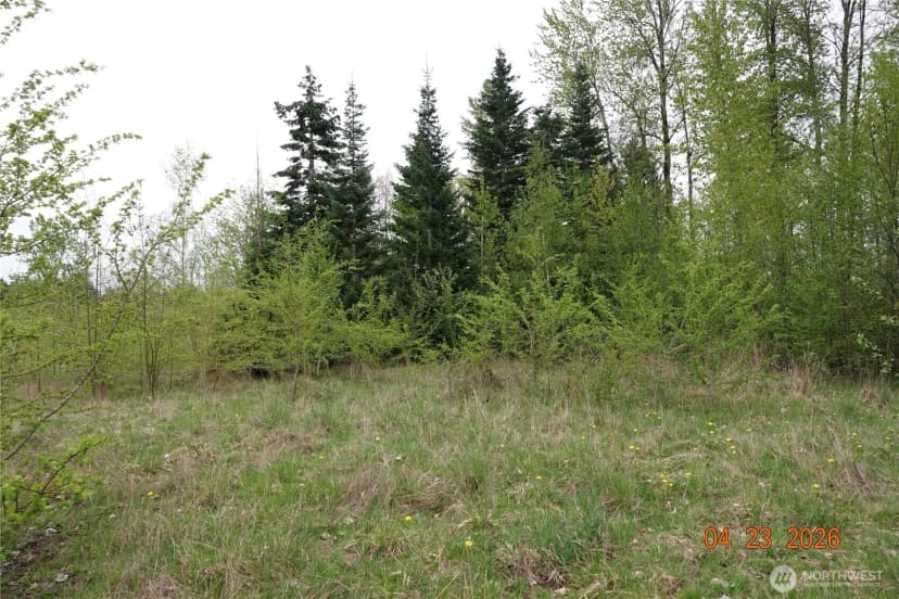 Property photo for 11703 34th Avenue E, Tacoma photo 12