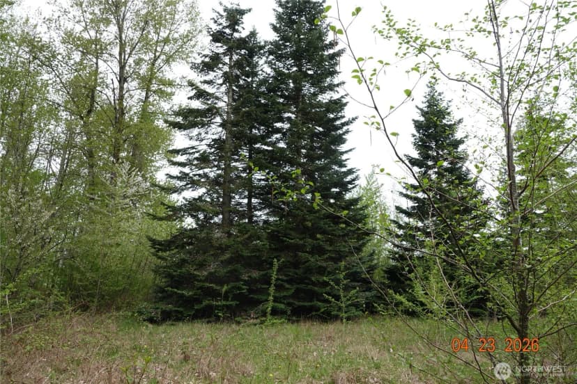 Property photo for 11703 34th Avenue E, Tacoma photo 17