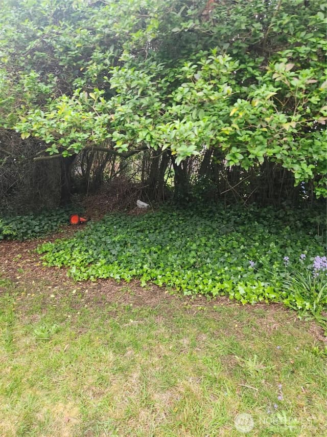 Property photo for 3740 S 142nd, Tukwila photo 5