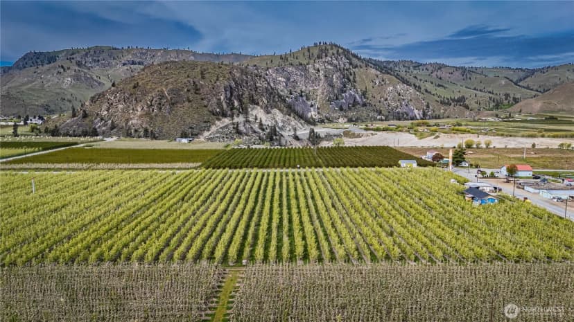 Property photo for 58 Substation Road, Chelan photo 7