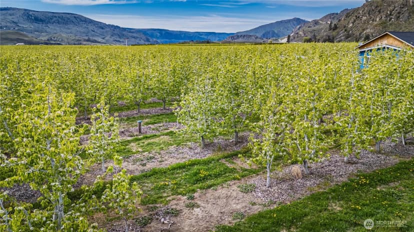 Property photo for 58 Substation Road, Chelan photo 19