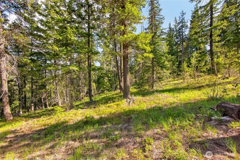 Property photo for 0 Salal Drive, Leavenworth photo 17