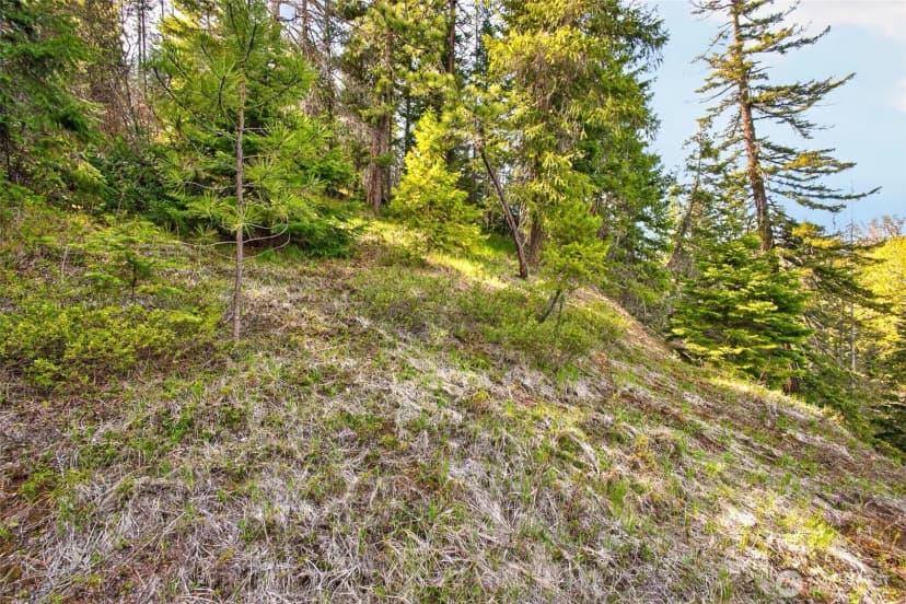 Property photo for 0 Salal Drive, Leavenworth photo 19