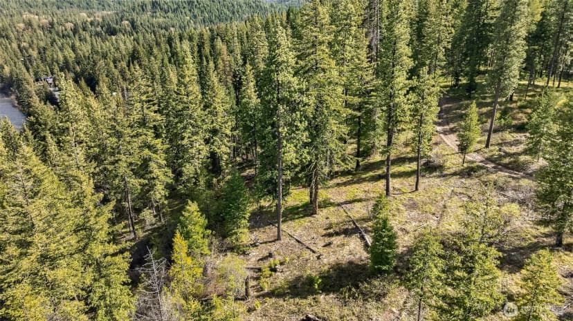 Property photo for 0 Salal Drive, Leavenworth photo 33
