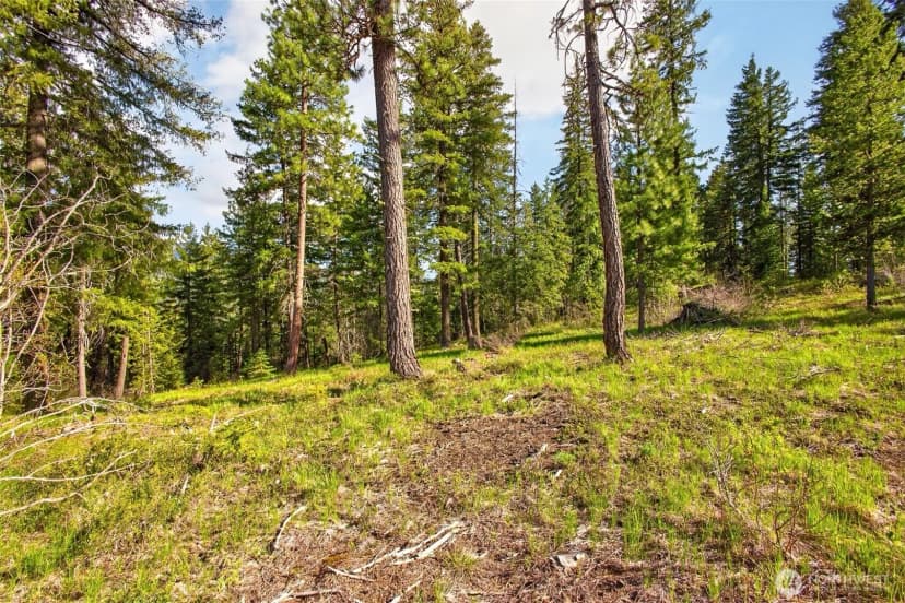 Property photo for 0 Salal Drive, Leavenworth photo 16
