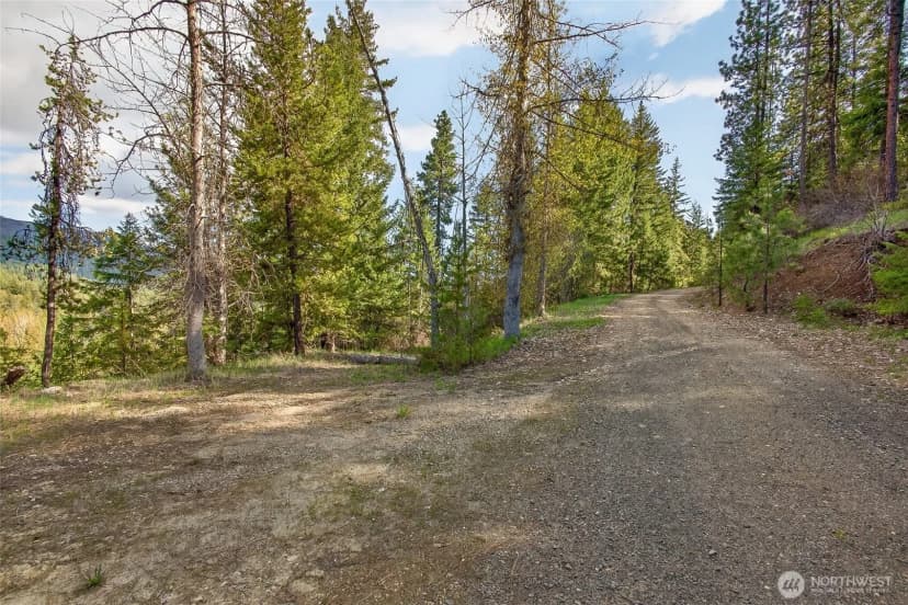 Property photo for 0 Salal Drive, Leavenworth photo 8