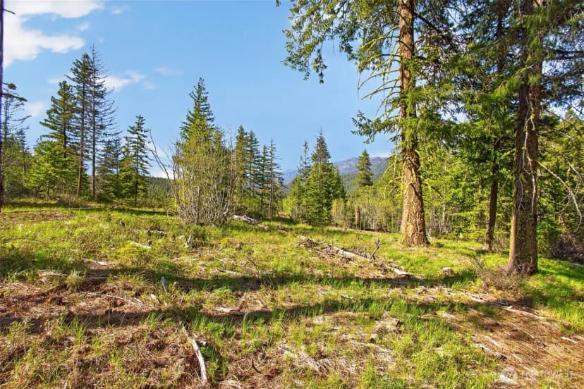 Property photo for 0 Salal Drive, Leavenworth photo 14