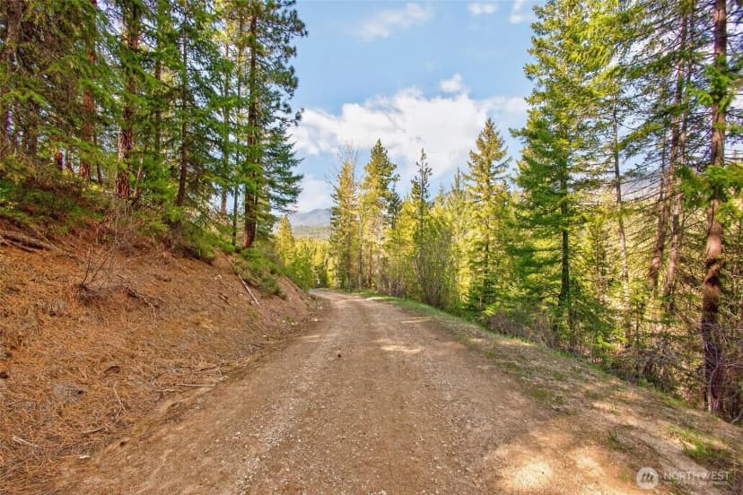 Property photo for 0 Salal Drive, Leavenworth photo 24