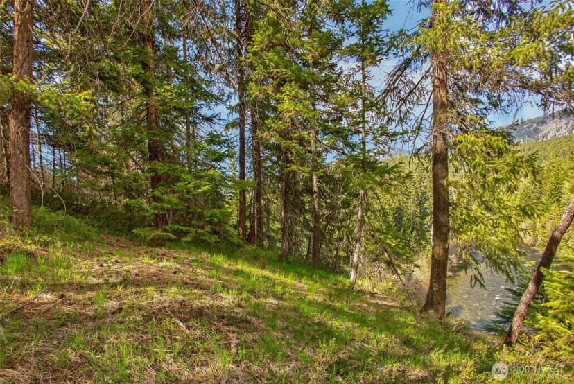 Property photo for 0 Salal Drive, Leavenworth photo 7