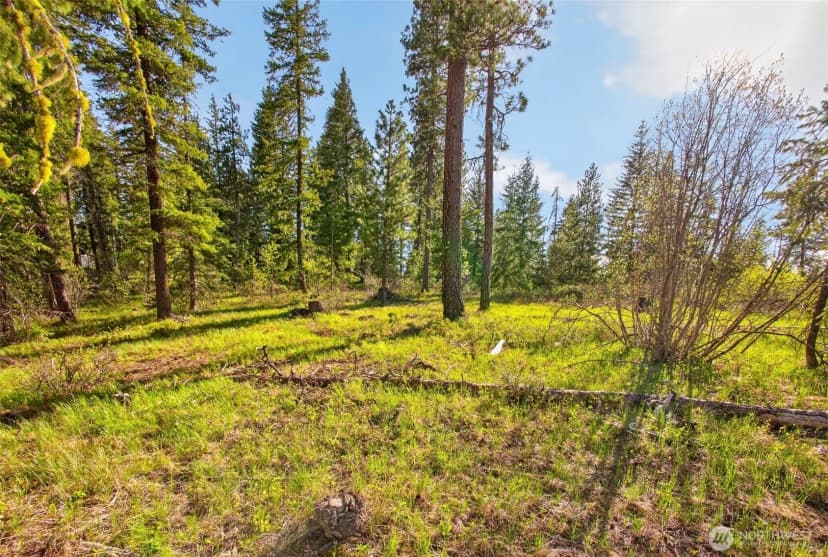 Property photo for 0 Salal Drive, Leavenworth photo 15