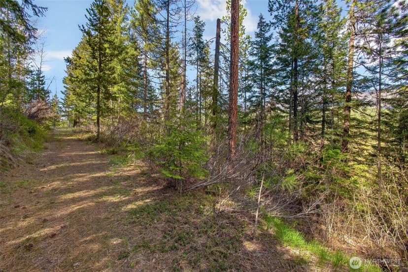 Property photo for 0 Salal Drive, Leavenworth photo 12