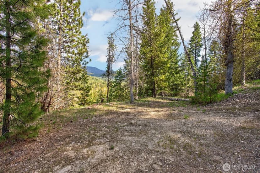 Property photo for 0 Salal Drive, Leavenworth photo 10