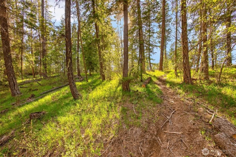 Property photo for 0 Salal Drive, Leavenworth photo 21