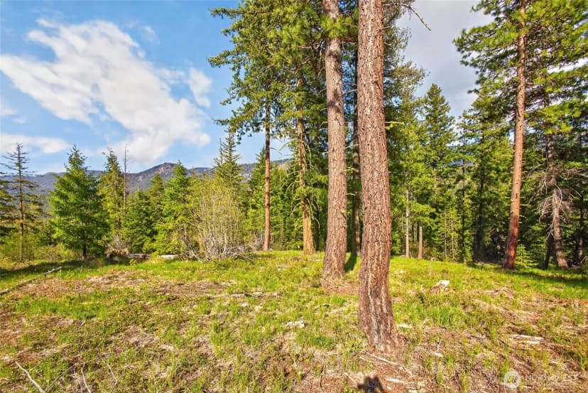Property photo for 0 Salal Drive, Leavenworth photo 13