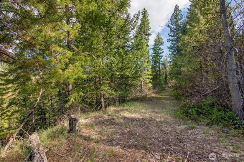 Property photo for 0 Salal Drive, Leavenworth photo 11