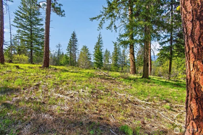 Property photo for 0 Salal Drive, Leavenworth photo 18