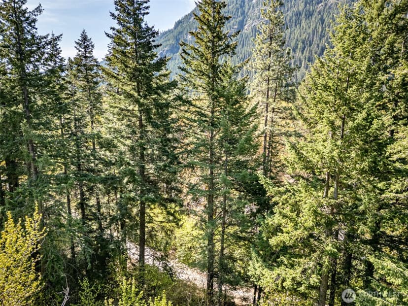 Property photo for 0 Us Hwy 2, Leavenworth photo 6