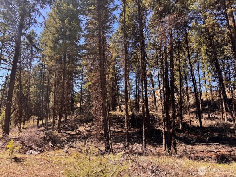 Property photo for 27 Mule Deer Ridge Road #0, Oroville photo 21