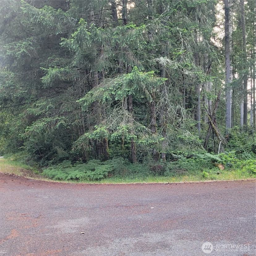 Property photo for 8922 129th Avenue Ct, Anderson Island